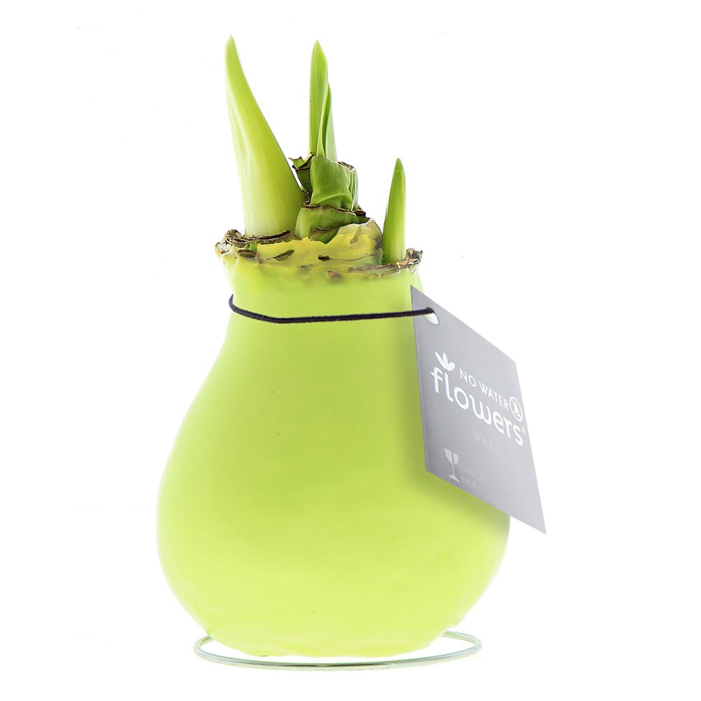pastel groen