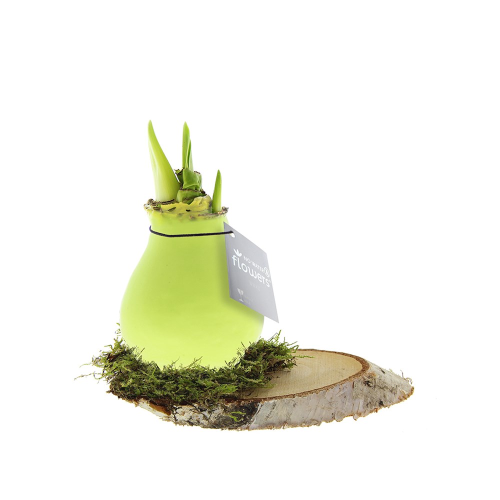 pastel groen