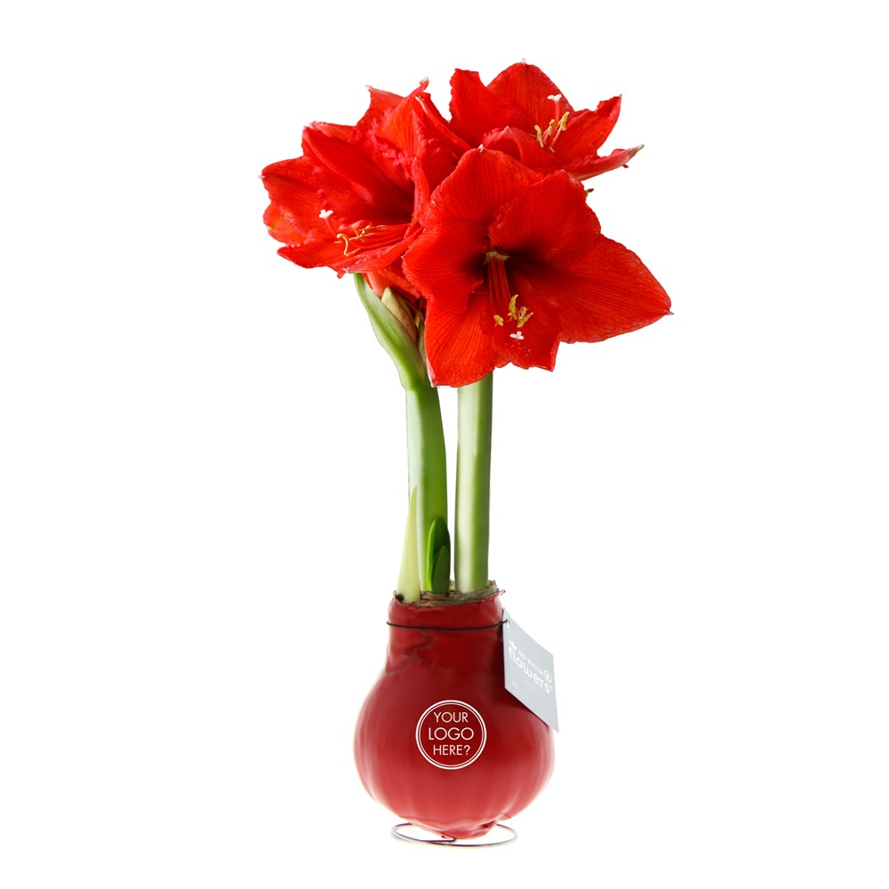 No Water Flowers® - Waxz® Colours, Zonder verpakking, Blauw