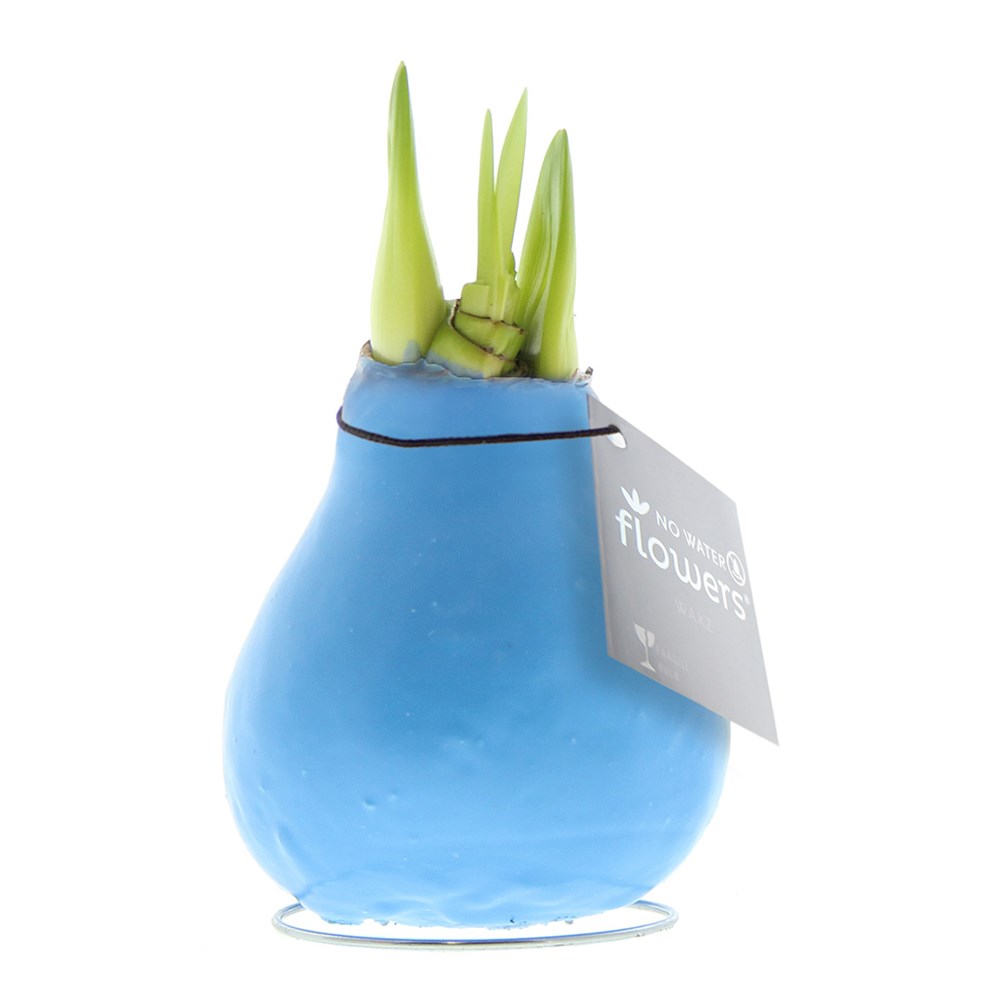 pastel blauw