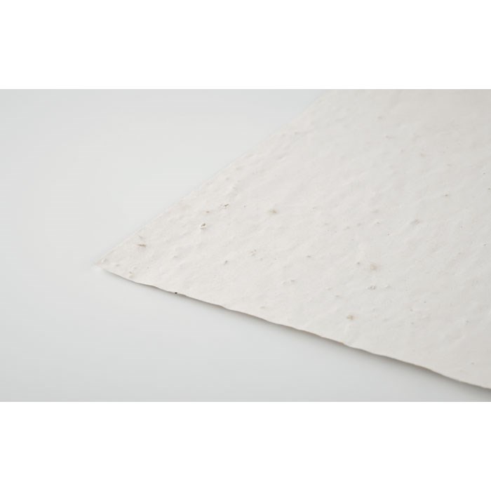ASIDI - A4 zaadpapier wilde bloemen