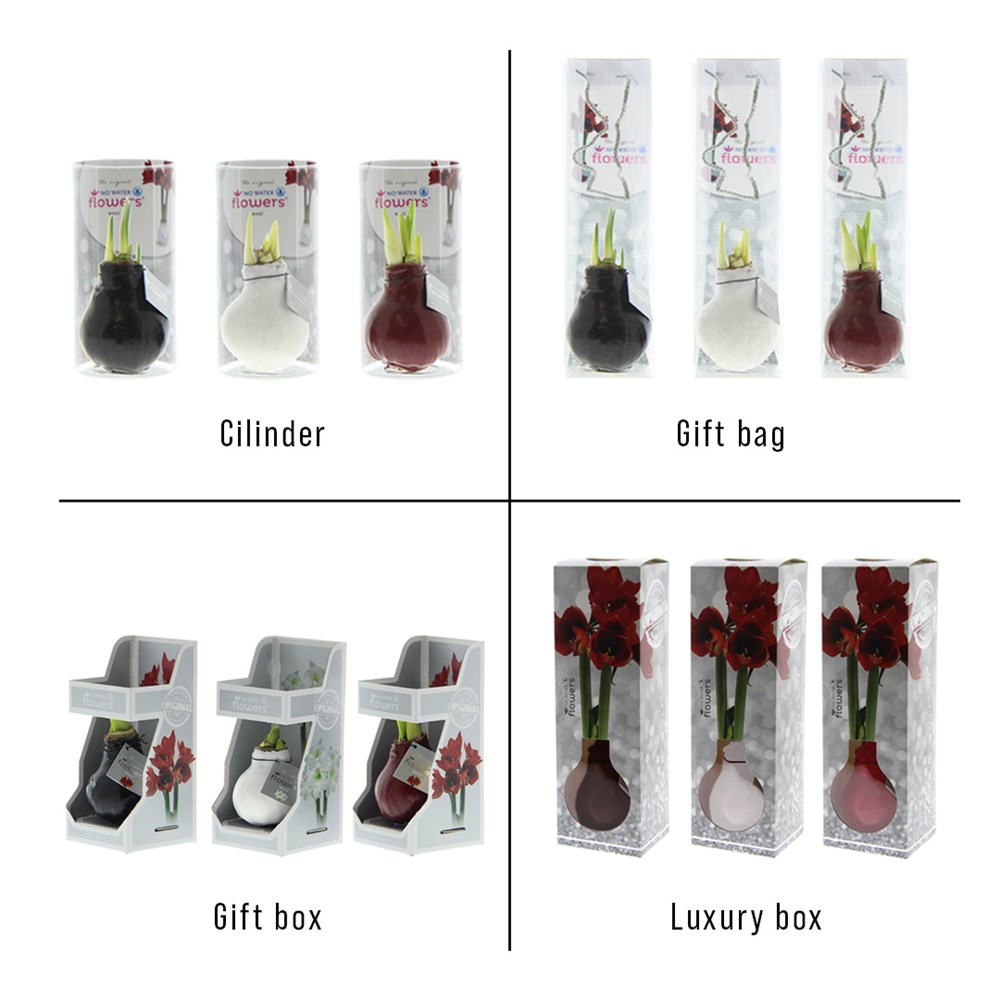 No Water Flowers® - Waxz® Colours, Zonder verpakking, Blauw