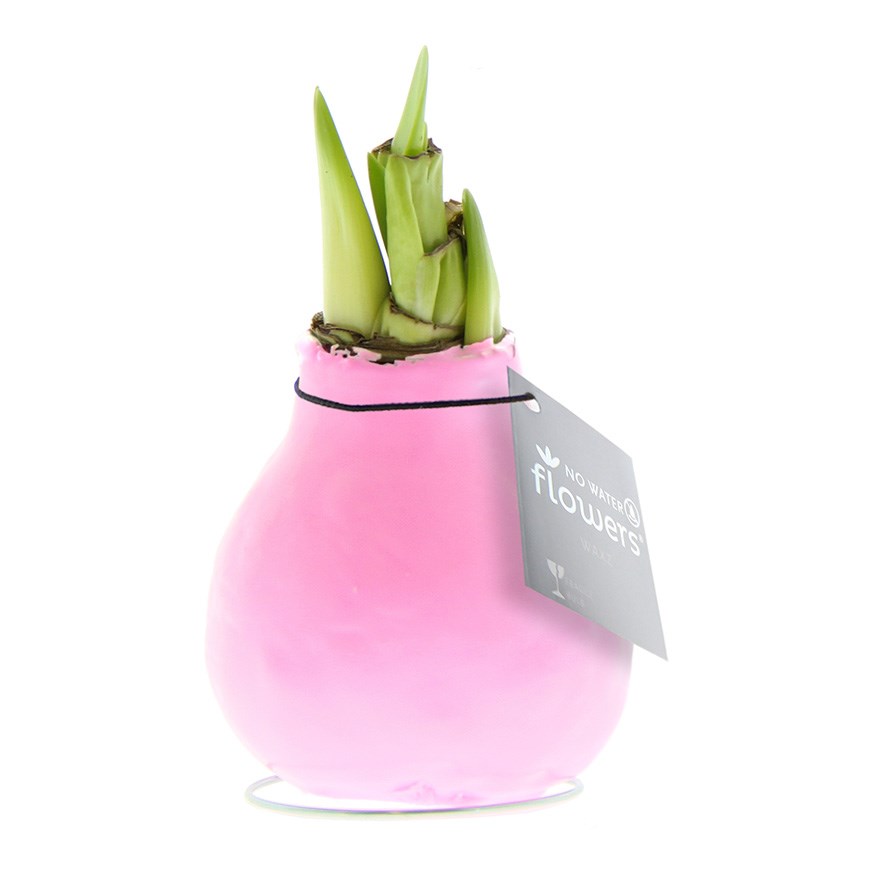 pastel roze