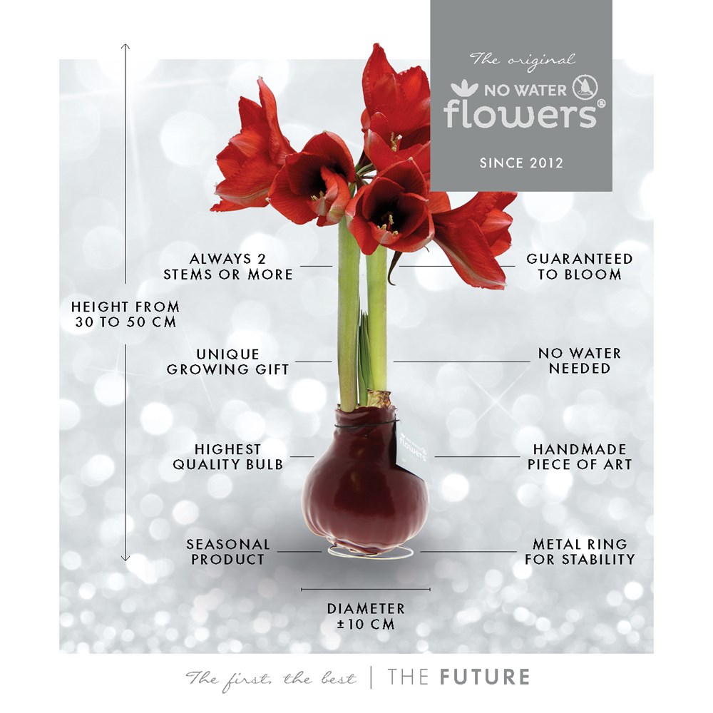 No Water Flowers® - Waxz® Colours, Zonder verpakking, Blauw