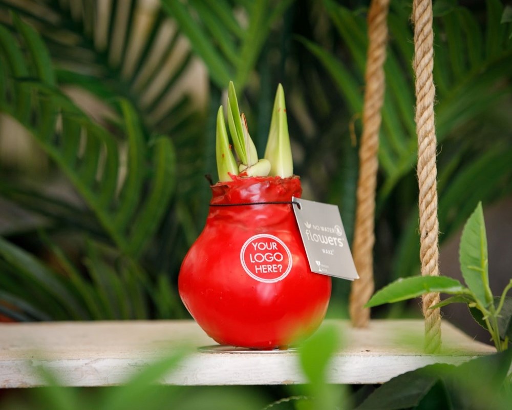 No Water Flowers® - Waxz® Colours, Zonder verpakking, Blauw